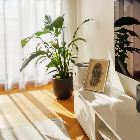 Appartement Sunny Balcony By Rotermann Apts